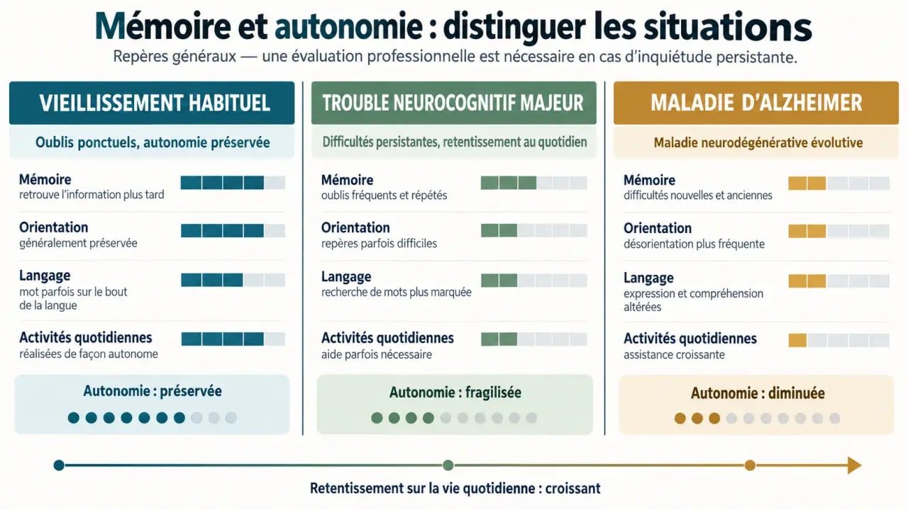 Démence sénile : comparaison visuelle entre vieillissement normal, troubles neurocognitifs et maladie d’Alzheimer